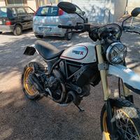 ducati scrambler desert sled  