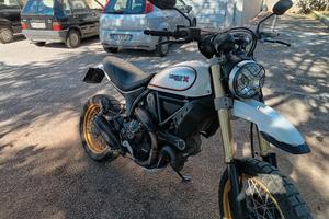 ducati scrambler desert sled  