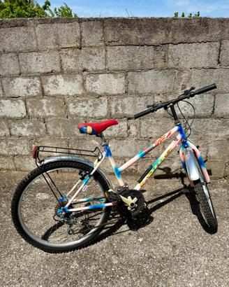 Bicicletta bambina / bambino