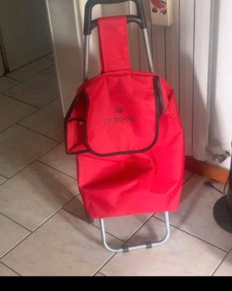 Carrello per la spesa 