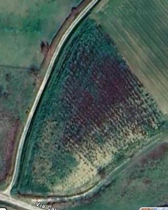 Terreno agricolo e Agrivoltaico