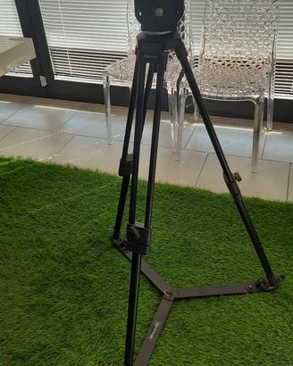 Treppiede proaim