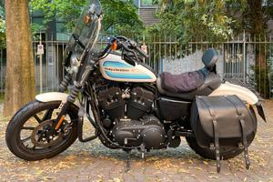 Harley Davidson sportster 1200 iron condizioni imm