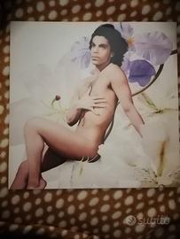 Lotto 2 Vinili LP Prince & 94 East