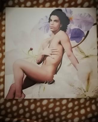Lotto 2 Vinili LP Prince & 94 East