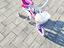 Immagine 4