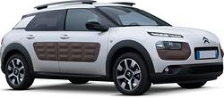 RICAMBI NUOVI C4 CACTUS 2014