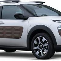 RICAMBI NUOVI C4 CACTUS 2014