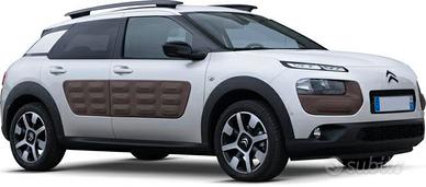 RICAMBI NUOVI C4 CACTUS 2014