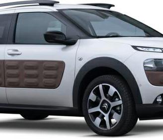 RICAMBI NUOVI C4 CACTUS 2014