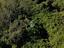 Immagine 24