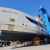 Autista. Accompagnatore