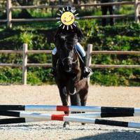 Pony 13 anni 126cm scuola e cat. Ludiche