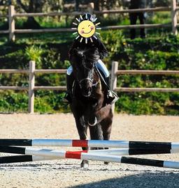 Pony 13 anni 126cm scuola e cat. Ludiche