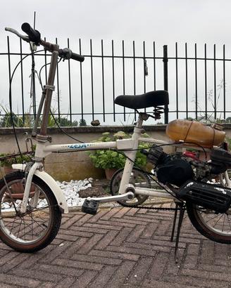 Bicicletta Lesa con motore a scoppio