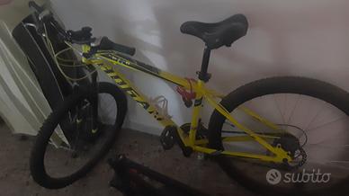 bicicletta