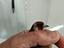Immagine 1