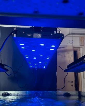 Plafoniere Led Per acquario Marino