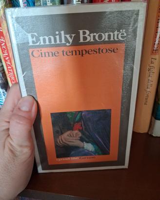 cime tempestose 