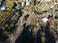 Immagine 26