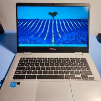 Asus Chromebook - modello C423N