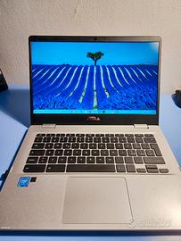 Asus Chromebook - modello C423N