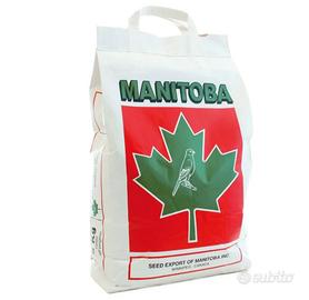 sacco di scagliola manitoba 20kg+2