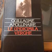 Le undicimila verghe libto erotico