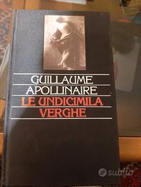 Le undicimila verghe libto erotico