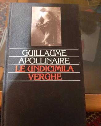 Le undicimila verghe libto erotico