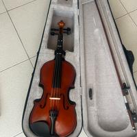 Violino