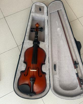 Violino
