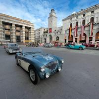 Austin healey 100/4 bn2 m spec