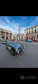 Austin healey 100/4 bn2 m spec