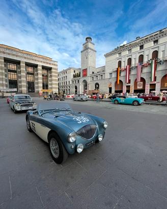 Austin healey 100/4 bn2 m spec