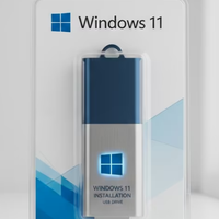 Chiavetta con programmi