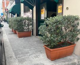 Ristorante-pizzeria