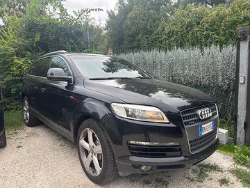 splendida Q7 Bologna