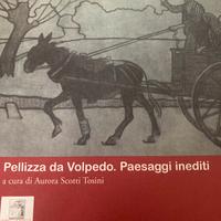 Libro Pellizza da Volpedo. Paesaggi inediti