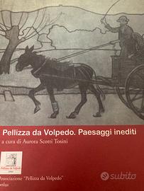 Libro Pellizza da Volpedo. Paesaggi inediti