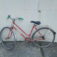 bicicletta da donna 