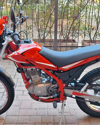 beta alp 200 4t 