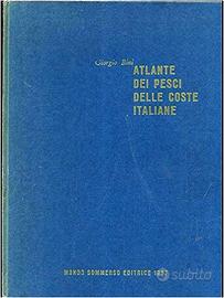 Atlante dei Pesci delle coste italiane, Bini