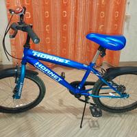 bicicletta bambino Hornet 