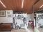Immagine 27
