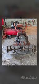 motozzappa pasbo 9cv
