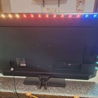 TELEVISORE PHILIPS 43 PLUS 881812 SMART TV