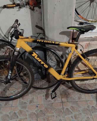 Bici mountain bike Turro