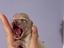 Immagine 1