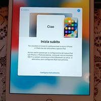 iPad Mini 4  128 GB 